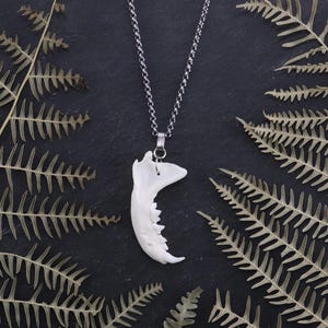 Può includere: Una collana con catena d'argento con un ciondolo a forma di mandibola di animale bianco. Il ciondolo è una replica dettagliata di una mandibola con denti. La collana è esposta su uno sfondo scuro con foglie di felce secche.