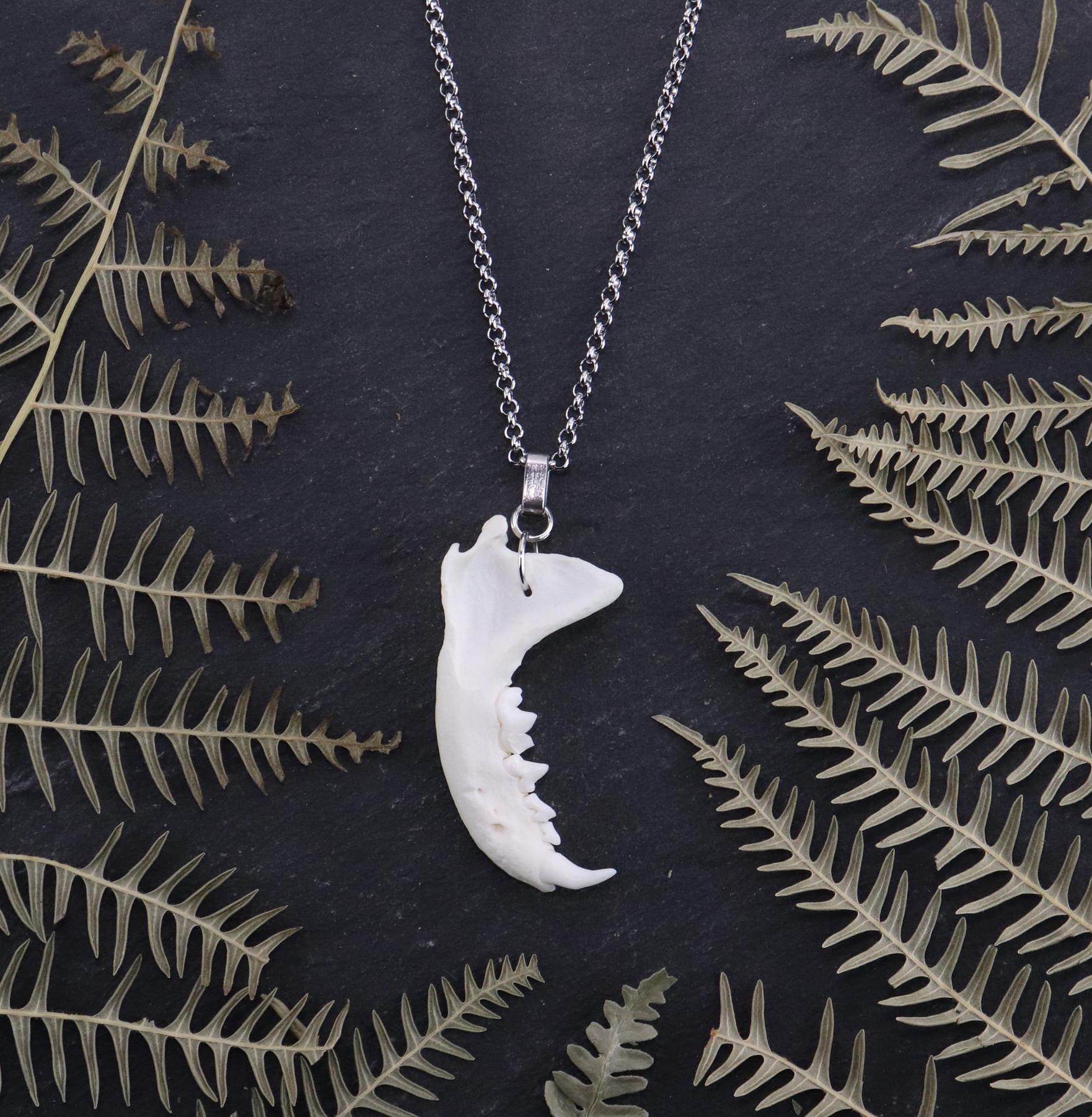 NEW:リアルボーンネックレス:ハンドメイド:骨ネックレス【本物鶏骨使用】 本物の骨のネックレス - Etsy 日本