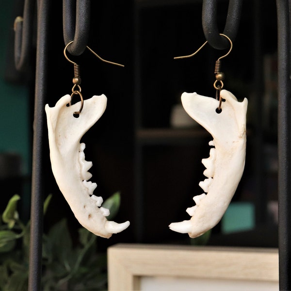 Mink Jaw Earrings - Natural Jewelry - Gift For Women - Elegant Earrings - boho jewelry - real bone jewelry