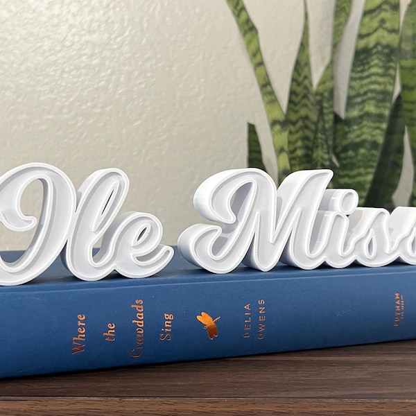 Ole Miss Logo Block Letter Shelf Decor | 3D Printed