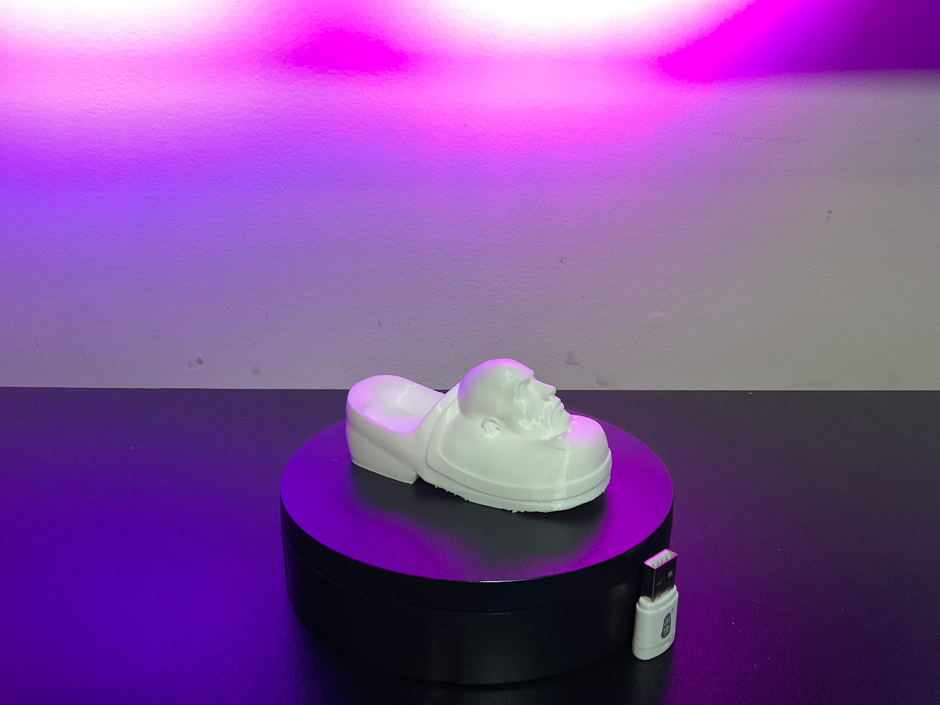 Rock Crocks 3D Printed Figure Statue, Funny Shoes, Sandals, Hilarious ...