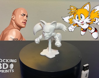 3D-geprinte figuur The Rock Tails, Sonic Sega Fan Gift, Desk Companion