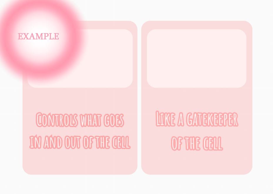 Biology Flashcards Printable Digital File Cell Flashcards Etsy