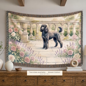 Peut inclure: Un plaid en coton tissé représentant un caniche noir debout sur une terrasse en pierre. La scène comprend une balustrade en pierre, des roses roses et de la lavande. Le plaid a des bords à franges et le texte Two sizes available, Woven Cotton, 203 x 152 cm.