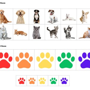 Sort Dogs By Color All About Pets Busy Book Printable - Etsy