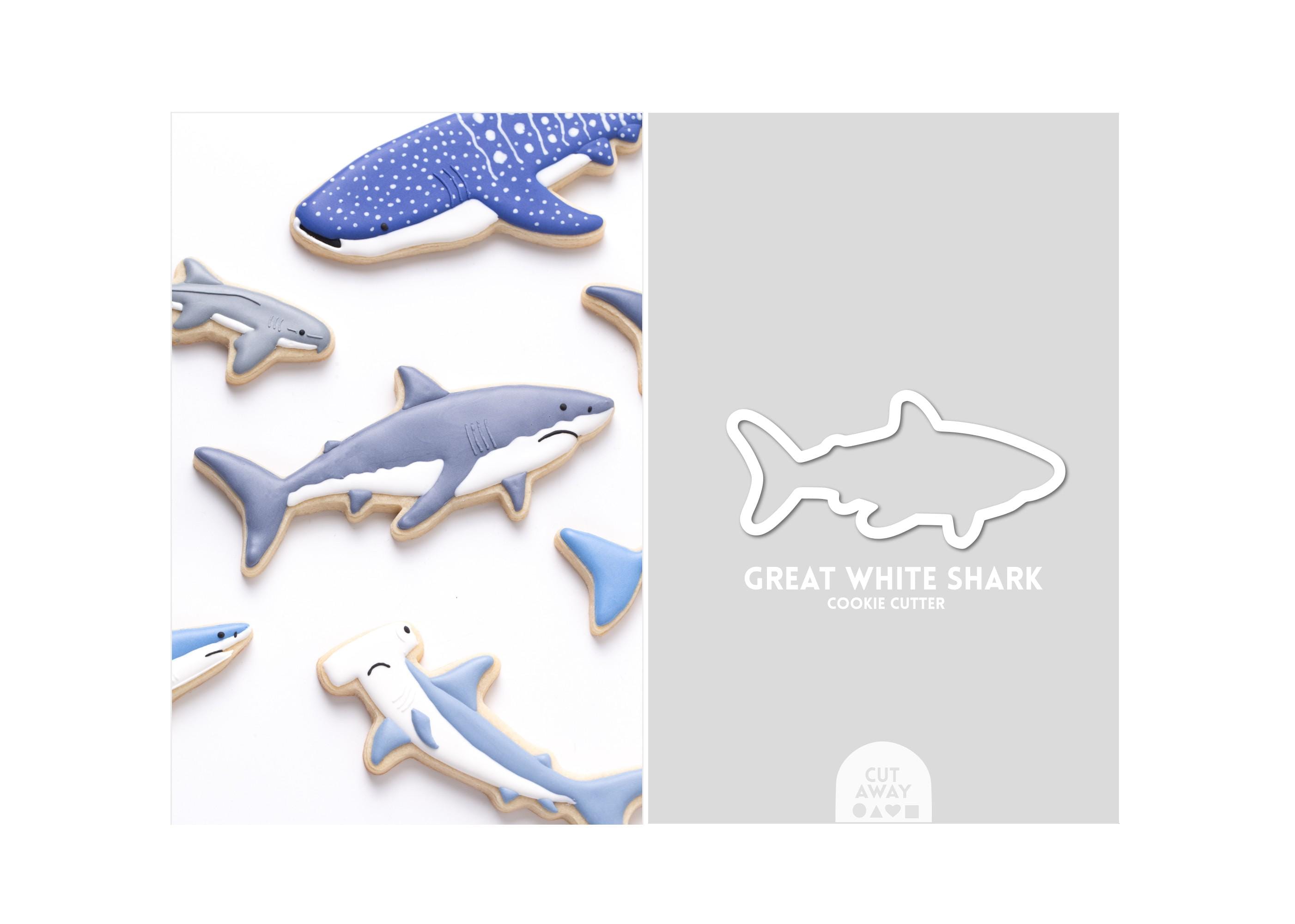 Grande Squalo Bianco Che Si Tuffa Il Messico Fotografia Stock - Immagine Di Tuffo, Nave: 154982970 - Foto 6