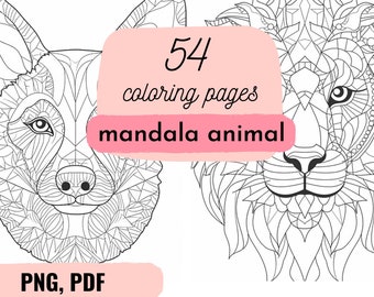Mandala Coloring Books for Girls ages 8-12: kids teens Adults 100