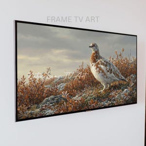 May include: A framed TV art piece featuring a painting of a bird in a natural landscape. The bird has brown and white speckled feathers, standing among brown foliage and frosted ground under a cloudy sky. The text "FRAME TV ART" and "Nature Scape TV Art" are visible.