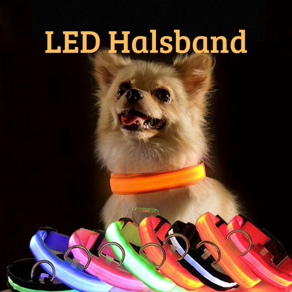 LED Hundehalsband | Wiederaufladbar & verschiedene Farben | Leuchthalsband | Halsband