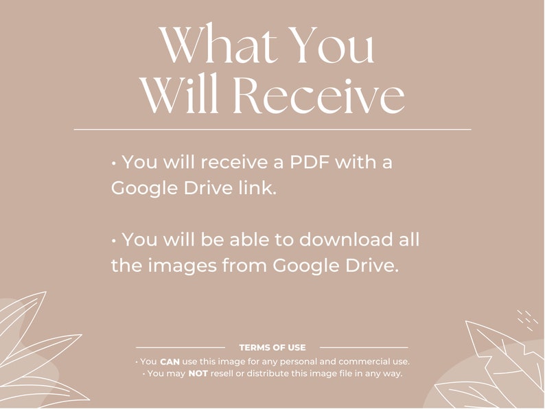 May include: A beige background with white text that reads "What You Will Receive" and two bullet points. The first bullet point reads "You will receive a PDF with a Google Drive link." The second bullet point reads "You will be able to download all the images from Google Drive." The bottom of the image has a white line with the text "TERMS OF USE" and two bullet points. The first bullet point reads "You CAN use this image for any personal and commercial use." The second bullet point reads "You may NOT resell or distribute this image file in any way."