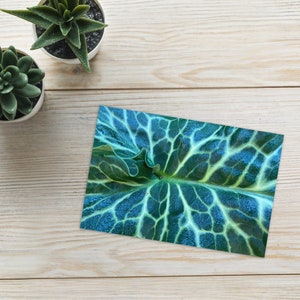 Plant Lady Card - Tarjeta de felicitación en blanco 4 "x6" y 5 "X7" - Papelería inspirada en la naturaleza - Fotografía botánica
