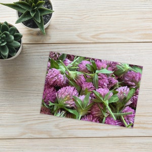 A natureza inspirou o cartão 4" do trevo vermelho dos artigos de papelaria x6" & 5" X7" - anule o interior com a fotografia de flores roxas.