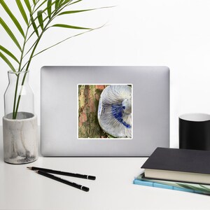 Adesivo de cogumelo - presente de fotografia de fungos para seu amigo ou membro da família favorito ao ar livre. Idéia de Stocking Stuffer Presente para menos de 10 anos