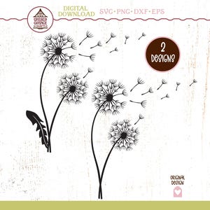 Dandelion SVG, Floral SVG, Dandelion Bundle SVG, Dandelion Png, Flower Svg, Dandelion Clipart, Wild Flower, Digital Download