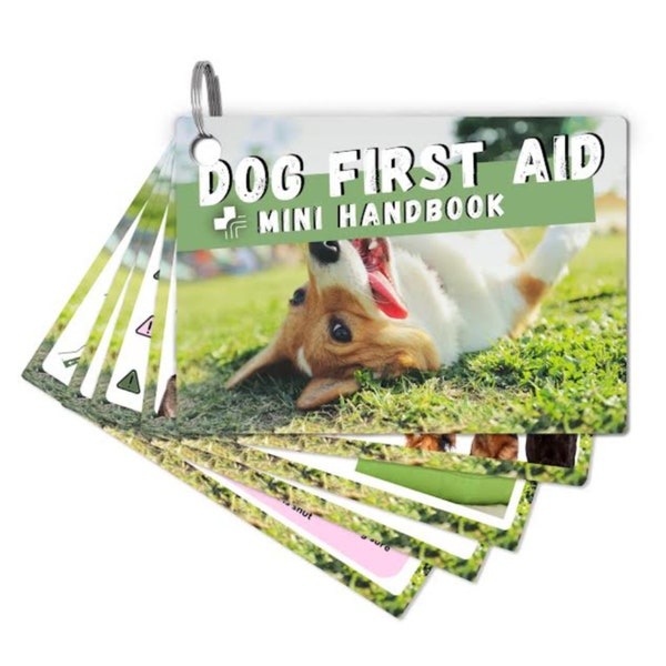 Mini-handboek EHBO voor honden | Kaarten voor huisdierenslachtoffers | Veiligheid bij noodreanimatie | Nieuw hondencadeau | Handleiding EHBO