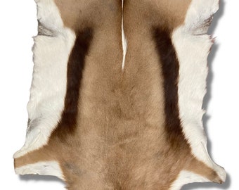 Gazelle Skin - Etsy