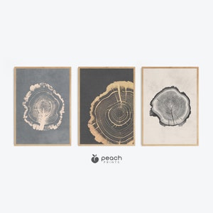 Forest Tree Ring Abstract Prints, Set of 3 Art Prints, Grunge Room Decor, Modern Art Nordic Decor, Printable Wall Art Decor
