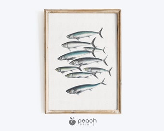 Sardinen Druck, Meer Leben Wand Dekoration, Küsten Dekor, Nautik Kunstdruck, Meer Dekor, druckbare, digitaler Download