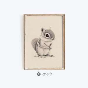 Woodland Baby Chipmunk Drawing, Printable, Chipmunk Print, Nursery Wall Art Decor, Digital Download