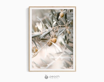 Olive Branch Print, Greece City Print, Santorini Print, Modern Minimalist Poster, Pastel Printable Art, Mediterranean Wall Art, Digital