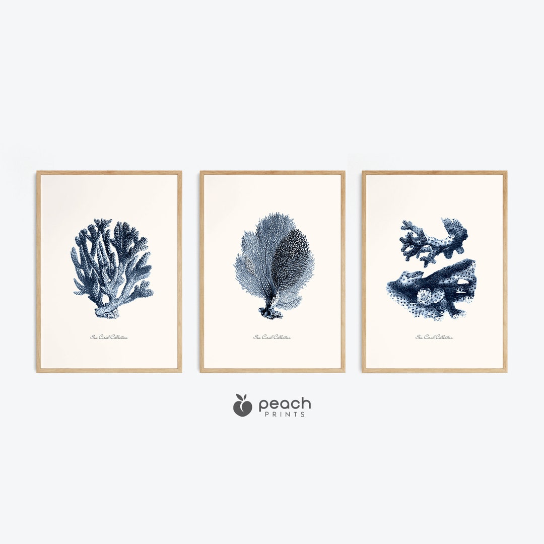 Vintage Indigo Blue Sea Coral Printable Wall Art, Set of 3, Beach House ...