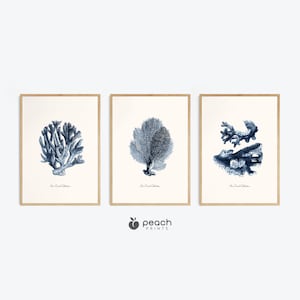 Vintage Indigo Blue Sea Coral Printable Wall Art, Set of 3, Beach House Art, Coastal Art, Navy Blue, Printable