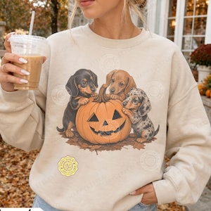 May include: A sand-colored crewneck sweatshirt featuring a graphic print of three dachshund puppies surrounding a carved orange jack-o'-lantern pumpkin. The puppies are black, brown, and dapple-patterned. A small yellow circular logo is visible.