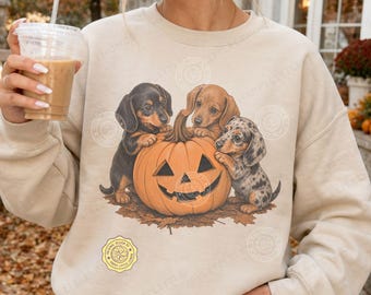 May include: A sand-colored crewneck sweatshirt featuring a graphic print of three dachshund puppies surrounding a carved orange jack-o'-lantern pumpkin. The puppies are black, brown, and dapple-patterned. A small yellow circular logo is visible.