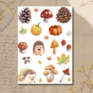 Feuille d'autocollants - Automne | Aquarelle | Stickers Bullet Journal | Stickers pour scrapbooking | Stickers pour agenda | Cochon | Feuilles | Citrouilles