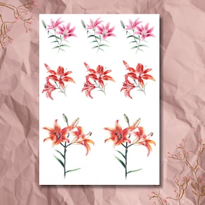 Folha de adesivos - Lírios rosa e vermelhos | Aquarela | Adesivos de Bullet Journal | Adesivos de Scrapbook | Adesivos de Planner | Flores | Padrão Floral