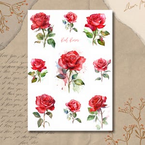 Feuille d'autocollants - Roses rouges | Aquarelle | Stickers Bullet Journal | Stickers pour scrapbooking | Stickers pour agenda | Fleurs | Motif floral