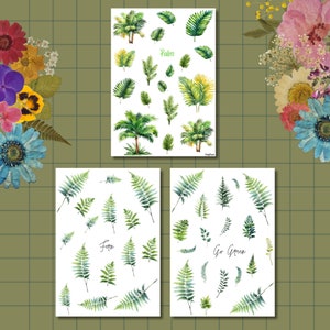 3 feuilles d'autocollants A6 - Ensemble de feuilles | Aquarelle | Stickers Bullet Journal | Stickers pour scrapbooking | Stickers pour agenda | Fougère | Palmier | Feuille