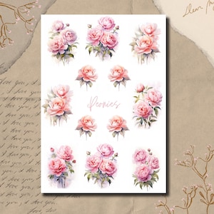 Sticker Bogen - Pfingstrosen | Aquarell | Bullet Journal Aufkleber | Scrapbook-Aufkleber | Planer Aufkleber | Pfingstrosen | Pastellfarben |