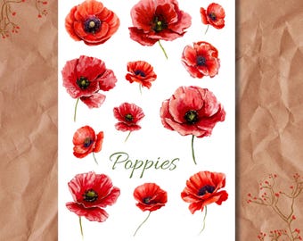Sticker Sheet - Poppies | Watercolor | Bullet Journal Stickers | Scrapbook Stickers | Planner Stickers | Flowers