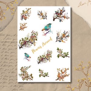 Arkusz naklejek - Kwiaty wokół | Naklejki do Bullet Journal | Naklejki do scrapbookingu | Naklejki do planera | Gałęzie kwiatów | Ptaki | Wiosna