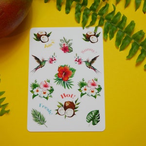 Sticker Sheet - Sommer | Aquarell | Bullet Journal Aufkleber | Scrapbook Sticker | Planner Aufkleber | Hibiskus | Kokosnuss | Colibri