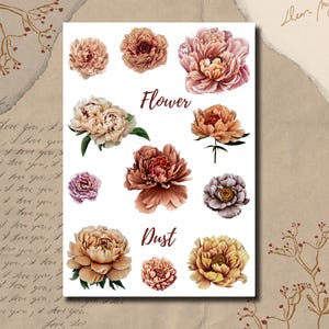 Hoja de pegatinas: polvo de flores, acuarela, pegatinas para bullet journal, pegatinas para scrapbook, pegatinas para planificador, peonías, colores pastel