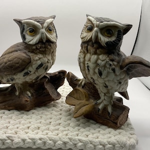 May include: Two ceramic owl figurines. One owl is perched on a brown log, with its wings slightly spread. The other owl is also perched on a brown log. Both owls have detailed feathers in shades of brown, cream, and black, with yellow eyes.