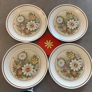 May include: Four cream-colored ceramic plates with a floral design featuring white, yellow, and orange flowers. Each plate has a brown rim. A small, orange, crocheted trivet with a yellow flower is between the plates.