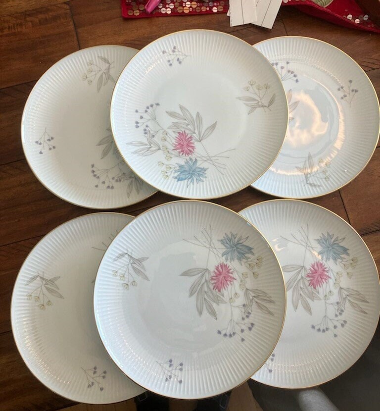 Set of 6 Thomas Rosenthal Germany Dinner Plates 7507/flowers and Stems