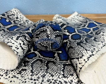 リアルパイソンベースボール！