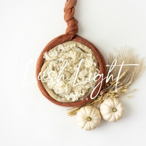 Newborn Digital Backdrop Autumn Pumpkin Digital Background