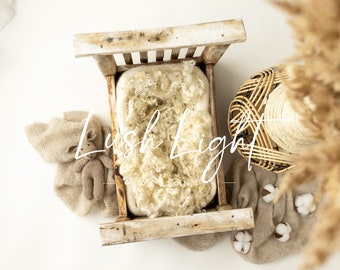 Newborn Digital Backdrop Beautiful Boho White Digital Background