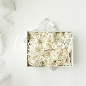Newborn Digital Backdrop Beautiful White Digital Background