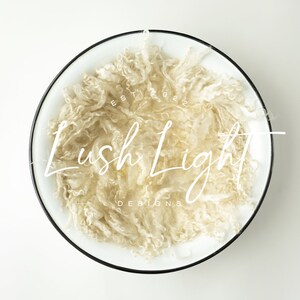 Newborn Digital Backdrop Beautiful Bowl White Digital Background