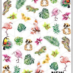 Nail Decal / Summer/ Tropical/ Vacation Nails/Summer Nails/Flamingo/Tucan/ Nail Decals/ Nail Art/ Nail Water Decals