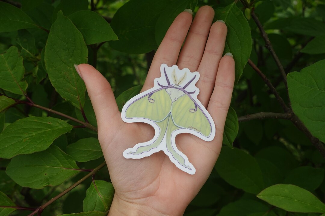 Luna Moth 3" Vinyl Sticker - Etsy