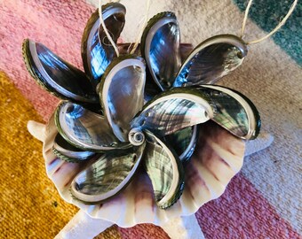 Abalone Ornament - Large