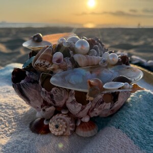Handmade Natural Barnacle Shell Ring Dish