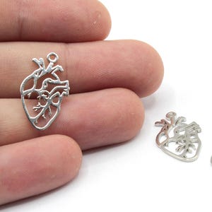 13x22mm Rhodium Anatomical Heart Charm